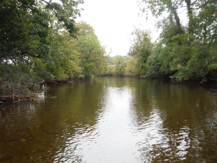 Perfect pool on the Irfon